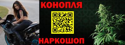 прущие грибы Мариинск