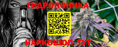 прущие грибы Мариинск