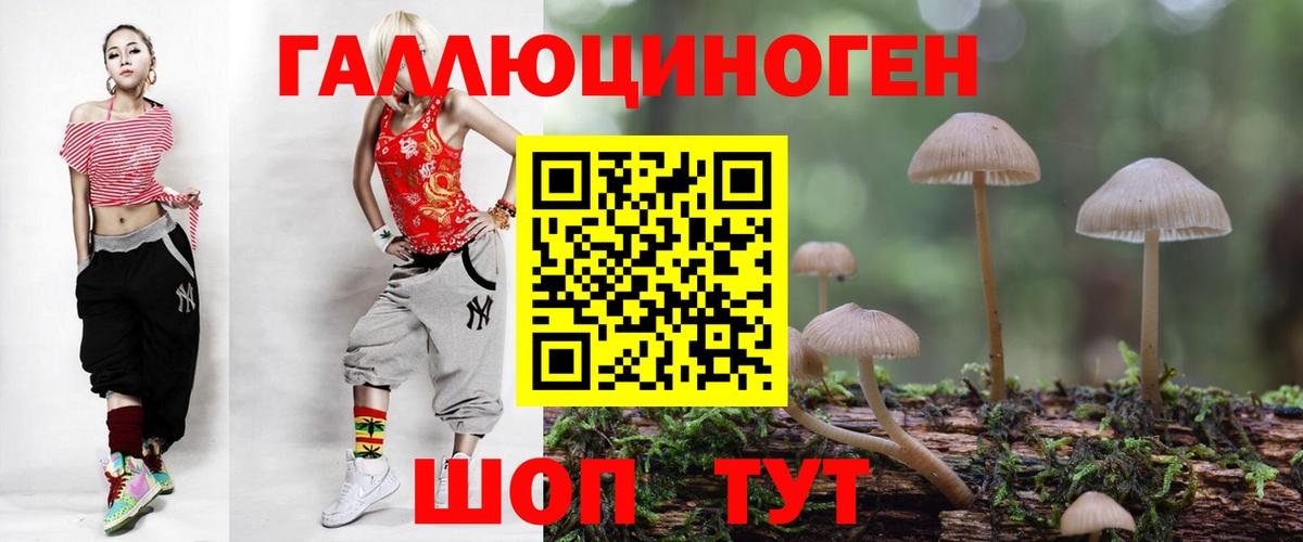 Ульяновск  Псилоцибиновые грибы GOLDEN TEACHER  Галлюциногенные грибы Magic Shrooms  Вход с VPN 
